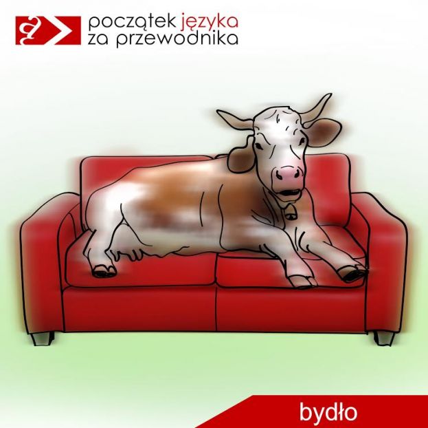 Bydło